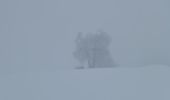 Excursión Raquetas de nieve Aragnouet - Piau-Engaly: Le Col A/R (Brouillard) - Photo 4