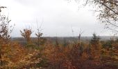 Tour Wandern Malmedy - malmedy . ferme libert .  tro maret . ferme libert . malmedy par les crêtes  - Photo 2