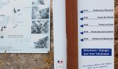 Trail Walking Nice - variante bord de mer - Photo 1