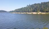 Tour Wandern Celles-sur-Plaine - Du lac de la Plaine au lac de Vieux-Pré à Pierre-Percée - Photo 12