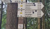 Trail Walking Ottenhöfen im Schwarzwald - Karlsruher Grat  - Photo 20