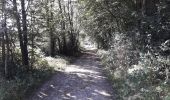 Trail On foot Fosses-la-Ville - Mon parcours - Photo 1