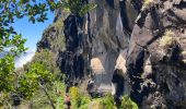 Excursión Senderismo São Roque do Faial - Pico Ruibo - Photo 1