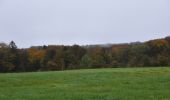 Tour Wandern Sprimont - 20241021 - Banneux 6.5 Km - Photo 13