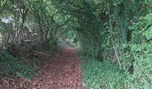 Trail Walking Philippeville - Franchimont 130922 - Photo 17