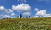 Trail Walking Le Valtin - Lac Vert - Lac du Forlet - Gazon du Faing - Photo 1