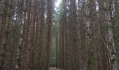 Tocht Stappen Orcines - Ballade au Puy de Cōme - Photo 15