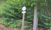 Trail Walking Manhay - Dochamps 240924 - Photo 7
