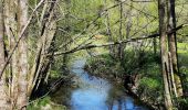 Trail Walking Neufchâteau - Verlaine - Cap au vert - Photo 2