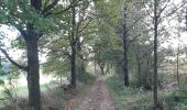 Trail Walking Sprimont - banneux couvent des sœurs franciscaines . parc à gibier goulag des animaux . adzeux . banneux / marche adeps 15km    - Photo 16