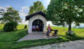 Tour Wandern Reiningen - abbaye de l'Oelenberg   Reiningue - Photo 2