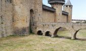 Tocht Stappen Carcassonne - Carcassone - Photo 10