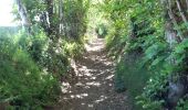Trail Walking Beauvoir - GR_37_AA_15_Beauvoir_Pleine-Fougeres_20210521 - Photo 6