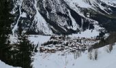 Tocht Sneeuwschoenen Pralognan-la-Vanoise - Pralognan: Fontanettes par la cascade de la Faîche - Photo 1