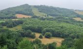 Trail Walking La Bastide-Solages - La Bastide des Parédous - Photo 10
