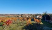 Tour Wandern Abeilhan - Abeilhan coteaux de la Thongue  - Photo 1