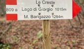 Excursión A pie Varsi - Strada di Campo del Gallo - Lago di Citta' - Cresta N - Monte Barigazzo - Photo 2