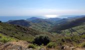 Tour Wandern Collioure - les Batteries Taillefer la Madeloc_T - Photo 3