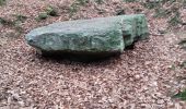 Tocht Stappen Jalhay - Hoegne-Polleur-Statte-Dolmen - Photo 1