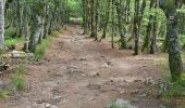 Randonnée Marche Le Valtin - tanet lac vert le col du tanet - Photo 6