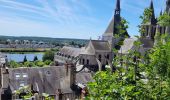 Randonnée Marche Blois - blois - Photo 5