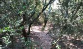 Percorso Mountainbike Remoulins - Remoulins - Pont du Gards - Photo 4