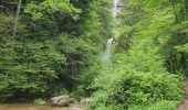 Trail Walking Saint-Claude - la cascade de la queue de  cheval  - Photo 11