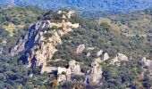 Randonnée Marche La Crau - Le Paradis et le mont des oiseaux - Photo 14