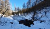 Randonnée Raquettes à neige Puy-Saint-Vincent - le vallon de Narreyroux - Photo 5