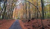 Trail Walking Nivelles - Bornival 1119 - Photo 1