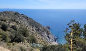 Excursión Senderismo La Seyne-sur-Mer - Cap Sicié et Notre Dame du mai - Photo 3