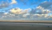 Excursión Senderismo De Panne - De Panne - Photo 10