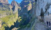 Trail Walking Nuns Valley - Pico do Areeiro - Photo 10