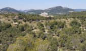 Trail Walking Caromb - Lac de Paty - Photo 9