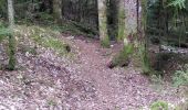 Randonnée Marche Le Poizat-Lalleyriat -  le chemin de l'écureuil - Photo 12