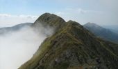 Percorso A piedi Sconosciuto - Victoria - Hârtopu Urșilor - Portița Viștei - Photo 2