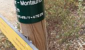 Randonnée Marche Montauriol - suite - Photo 6