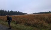 Trail Walking Waimes - RS 2024_10 Botrange  - Photo 4