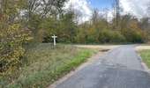 Randonnée Marche Saint-Jean-aux-Bois - 53_10_2025_autour des Grands Monts - Photo 14