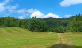 Randonnée Marche Charix - lac de genin - bretouze /  retour - Photo 20