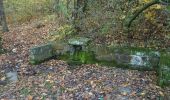 Excursión A pie Nový Jičín - Studánková trasa Puntík - Photo 10