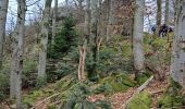 Tour Wandern Sasbachwalden - SASBACHWALDEN - Photo 4