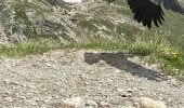 Trail Walking Chamonix-Mont-Blanc - Chamonix Lac Blanc  - Photo 12