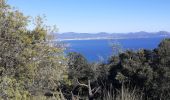 Trail Walking Roquebrune-sur-Argens - les petites maures Roquebrume s Argens - Photo 8