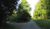 Tour Wandern Choisy-au-Bac - en forêt de Laigue_7_06_2020_sur les routes de la Fontaine à Baril_Belle Assise_Plessis-Brion_chemin de Voie d'Eau - Photo 5