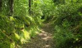 Tocht Stappen Fontaine-les-Coteaux - Fontaine-les-coteaux - Bois de Beauvoir - Photo 11