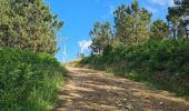 Trail Walking Cee - Lires Muxia - Photo 4
