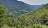 Trail Walking Pied-de-Borne - au dessus de borne et les Aydons - Photo 14