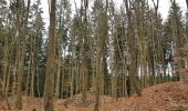 Tour Wandern Vielsalm - 2023-04-02_15h38m24_Cirkwi-Vielsalm___Pays_du_bois,_de_la_pierre_de_l_eau - Photo 3