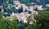 Percorso Marcia Cotignac - SityTrail - Notre Dame de Grace - Chapelle St Bernard - Monastere St Joseph - Chapelle St Martin - Le Poucet - Habitat troglodyte - Le village  - Photo 9